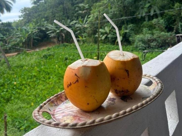 Sandaru Holiday Resort Weligama Ngoại thất bức ảnh